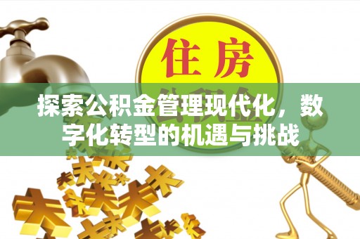 松潘探索公积金管理现代化，数字化转型的机遇与挑战
