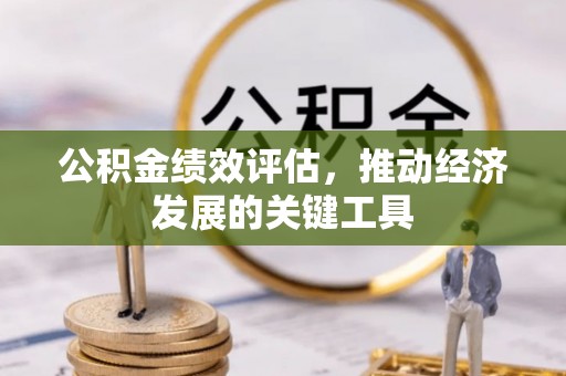 松潘公积金绩效评估，推动经济发展的关键工具