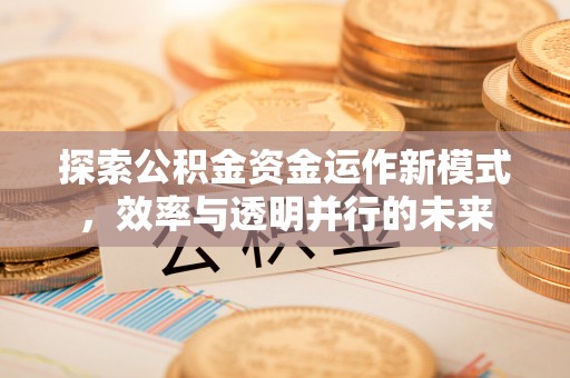 松潘探索公积金资金运作新模式，效率与透明并行的未来