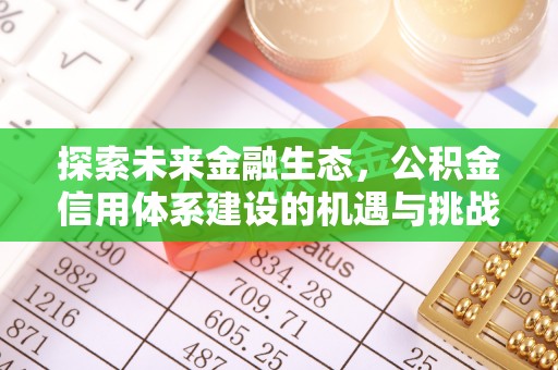松潘探索未来金融生态，公积金信用体系建设的机遇与挑战