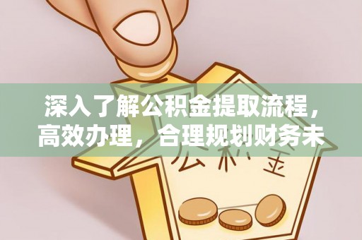 松潘深入了解公积金提取流程，高效办理，合理规划财务未来