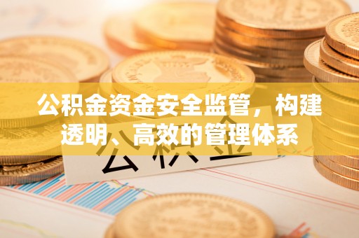 松潘公积金资金安全监管，构建透明、高效的管理体系