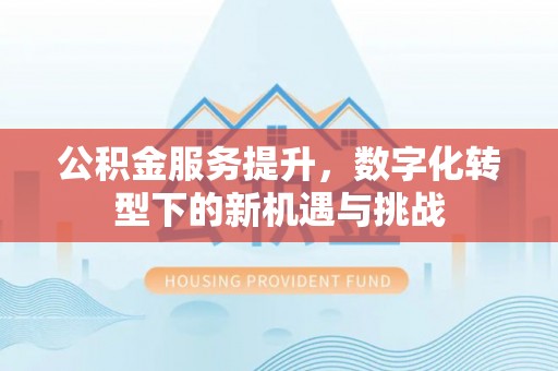 松潘公积金服务提升，数字化转型下的新机遇与挑战