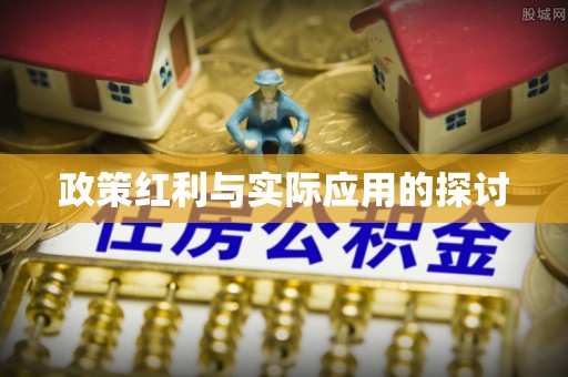 松潘政策红利与实际应用的探讨