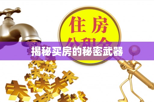 松潘揭秘买房的秘密武器