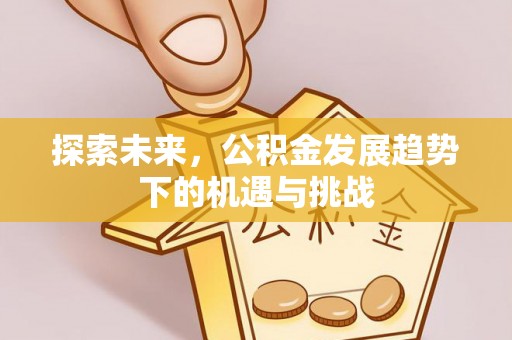 松潘探索未来，公积金发展趋势下的机遇与挑战