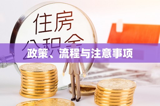 松潘政策、流程与注意事项