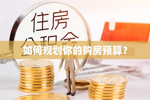 松潘如何规划你的购房预算？