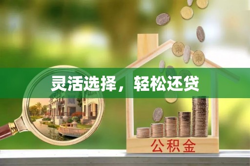 松潘灵活选择，轻松还贷