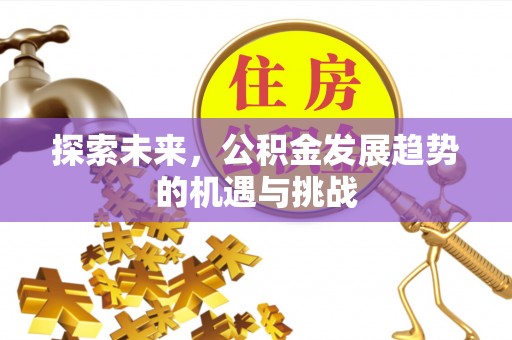 松潘探索未来，公积金发展趋势的机遇与挑战