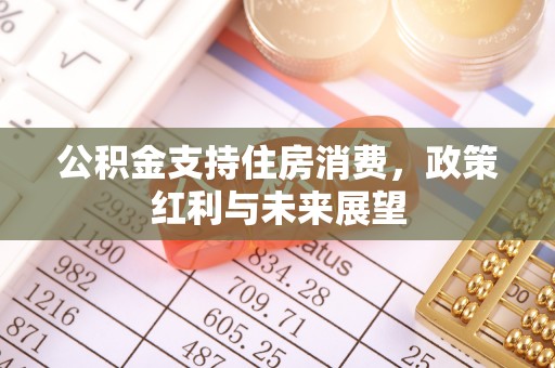 松潘公积金支持住房消费，政策红利与未来展望