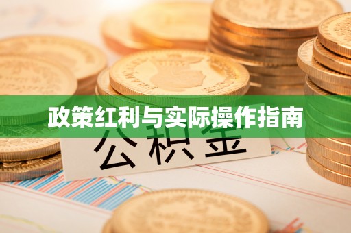 松潘政策红利与实际操作指南