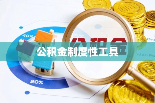 松潘公积金制度性工具