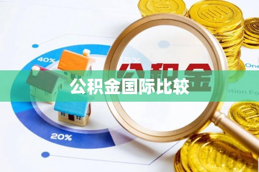 松潘公积金国际比较