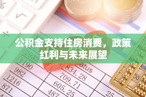 松潘公积金支持住房消费，政策红利与未来展望