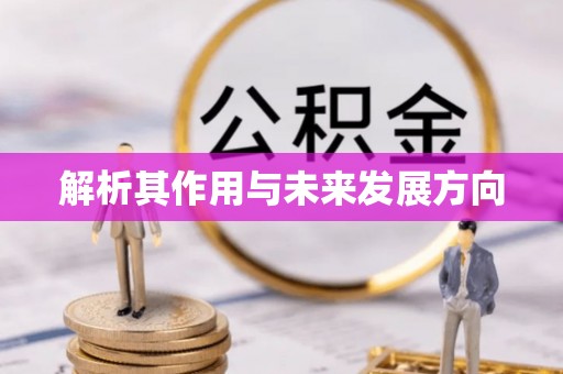 松潘解析其作用与未来发展方向