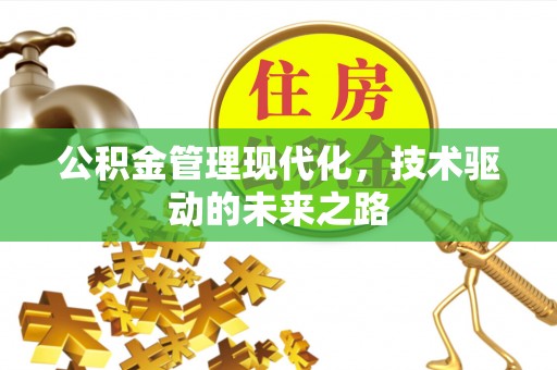 松潘公积金管理现代化，技术驱动的未来之路